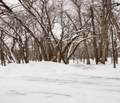 2019 02 FortSnelling 007